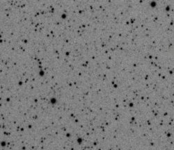 Sobotní pozorování planetky Pluto. Mezi oběma snímky uplynuly dvě hodiny. Kredit: Global Star Party/Paul Stewart Sobotní pozorování planetky Pluto. Mezi oběma snímky uplynuly dvě hodiny. Kredit: Global Star Party/Paul Stewart