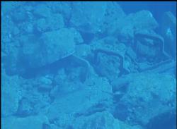 Snímky podvodní kamerou ze třetího bazénu (TEPCO).