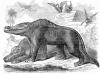 185 let dinosauří paleolontologie