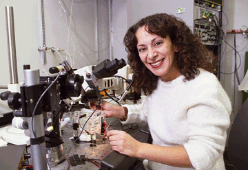 Arlette Kolta, University of Montreal. JejĂ­ tĂ˝m nĂˇm ponÄ›kud mÄ›nĂ­ nĂˇzor na Ăşlohu â€žpodpĹŻrnĂ˝châ€ś bunÄ›k a tĂ­m i fungovĂˇnĂ­ celĂ©ho mozku. (Kredit: Univeristy od Montreal)