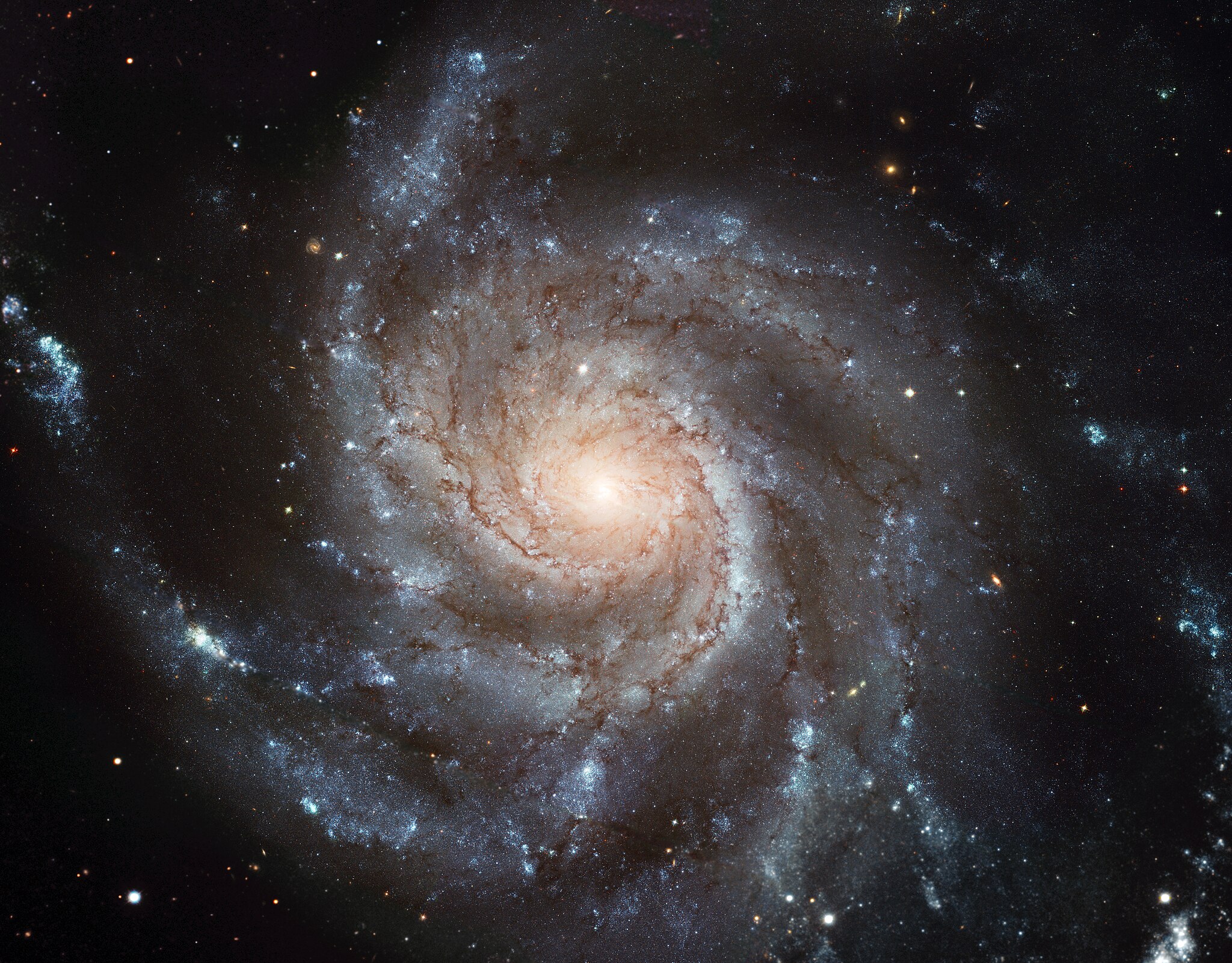 Galaxie Messier 101 (M101, NGC 5457) přezdívaná Větrník se nachází v oblasti souhvězdí Velké medvědice. Je vzdálená asi 21 milionů světelných let od Země. Portrét galaxie je složen z 51 jednotlivých expozic Hubblova teleskopu a snímků z pozemních dal