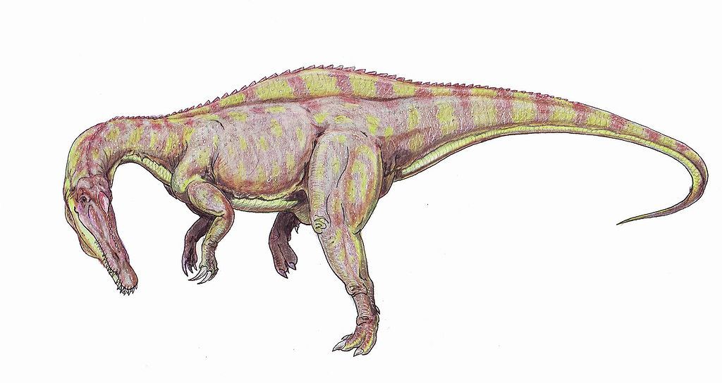 Rekonstrukce přibližné podoby suchomima. Tento teropod patřil v dospělosti při délce kolem 12 metrů do velikostní kategorie druhu Tyrannosaurus rex (ačkoliv nebyl tak robustní). Kredit: ?????, Wikipedie (volné dílo)