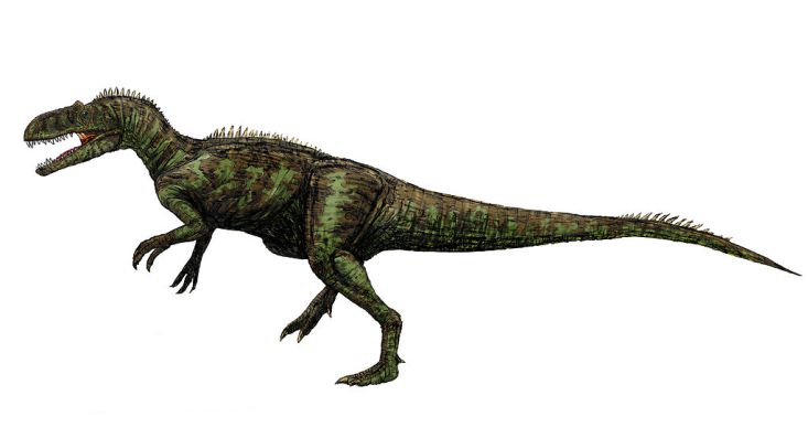 Přibližná představa o vzezření teropoda druhu Chilantaisaurus tashuikouensis. Dravý dinosaurus o hmotnosti menšího slona zřejmě terorizoval všechny ostatní dinosaury na území Vnitřního Mongolska v době před 92 miliony let. Kredit: FunkMonk, Wikipedie