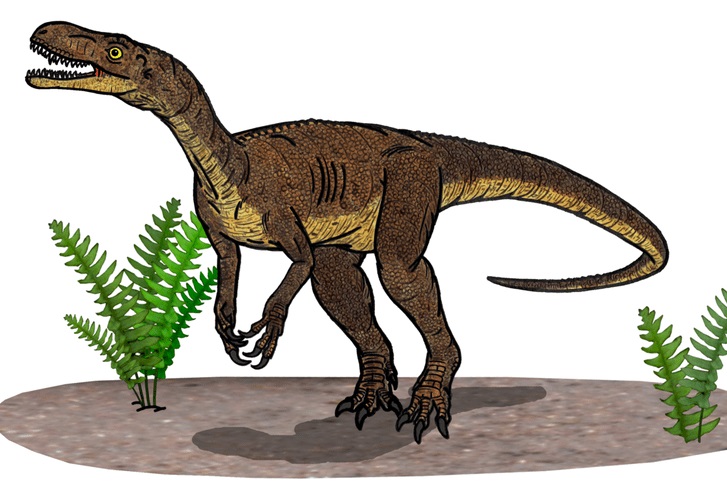 První praví dinosauři, jako byl tento teropod Eodromaeus murphi, se poprvé objevují na území Argentiny v době před asi 231 miliony let. Jak ukazují výzkumy, velmi rychle se poté šíří i do dalších částí světa. Kredit: Conty, Wikipedie (CC BY 3.0)