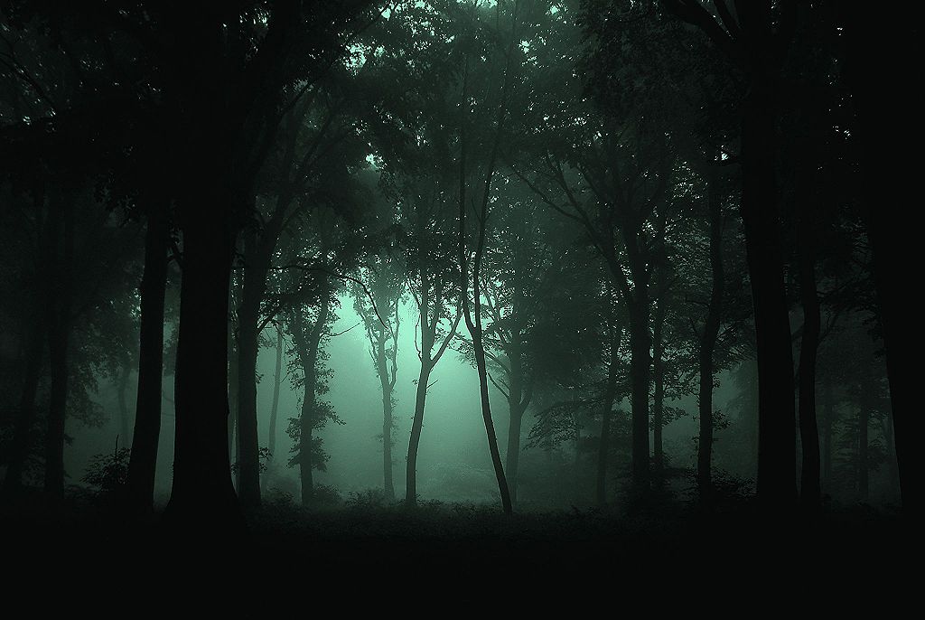 Temný les. V Alsasku. Kredit: JovanCormac / Wikimedia Commons.