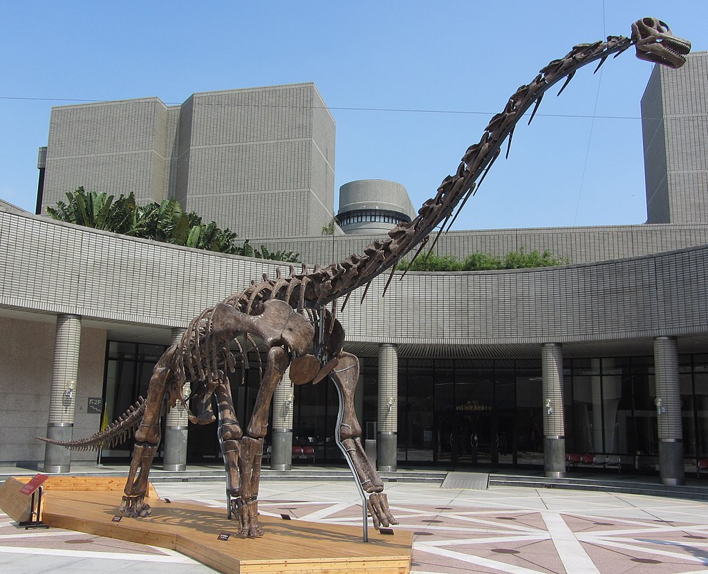 Rekonstruovaná kostra sauropoda druhu Qiaowanlong kangxii, jednoho z 11 druhů dinosaurů, jejichž rodové jméno začíná na písmeno Q. Tento zástupce kladu Macronaria žil na území současné čínské provincie Kan-su v době před 100 miliony let, tedy na rozh