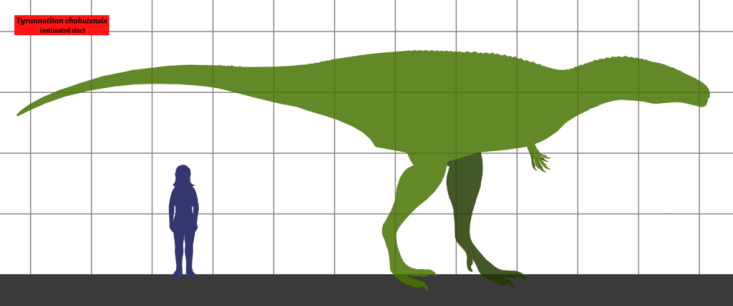 Přibližné velikostní srovnání dospělého člověka a tyranotitana. Tento teropod zřejmě dosahoval délky kolem 12 metrů a hmotnosti přes 5 metrických tun. Kredit: Conty, Wikipedie (CC BY 3.0)