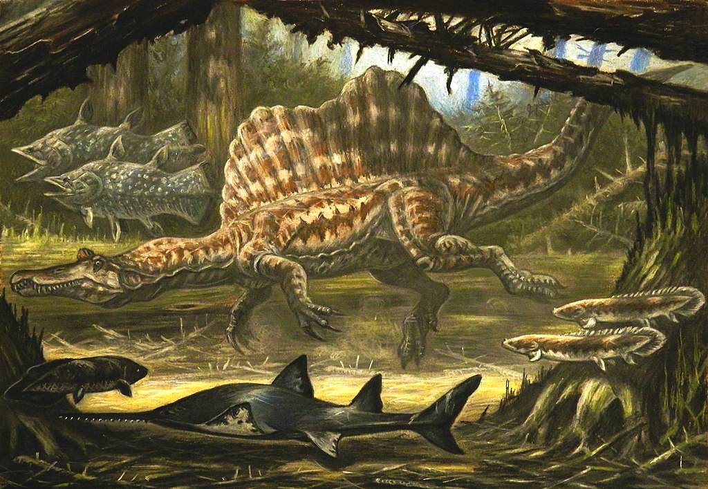 Mezi dinosaury, nejlépe vývojově přizpůsobené k životu ve vodním živlu, patřili zejména spinosauridi. Tito velcí teropodi pravděpodobně trávili velkou část svého života ve vodě a živili se převážně vodními tvory, jako jsou ryby, paryby, želvy nebo me