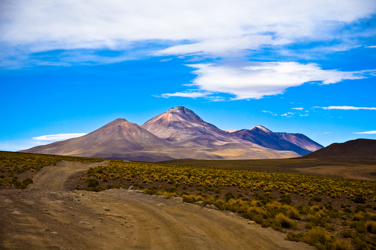 Altiplano v Bolivii. Kredit: profe_miguel, Wikimedia Commons, CC BY-SA 4.0.