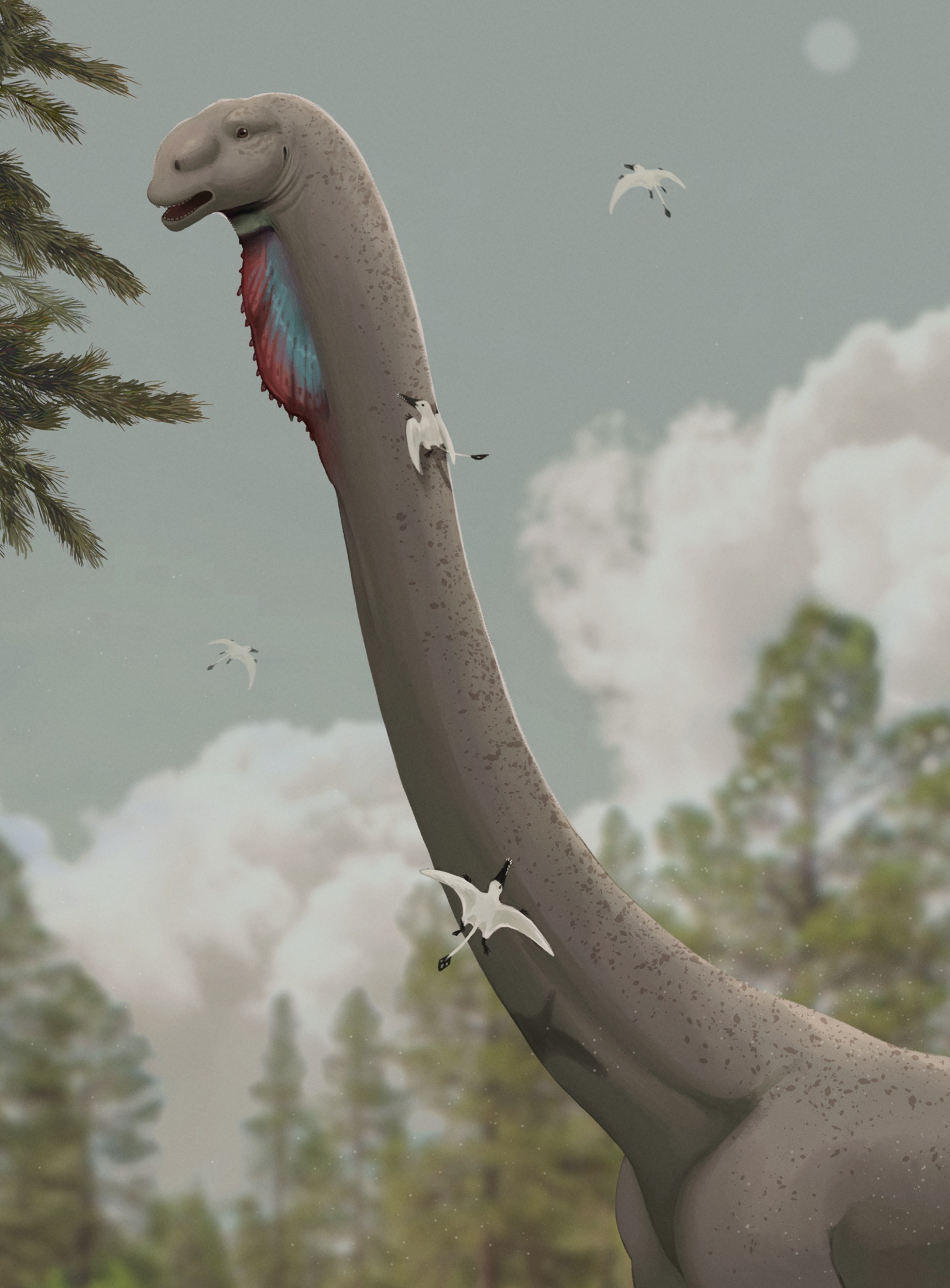 Hypotetická výtvarná rekonstrukce hlavy a krku mamenchisauridního sauropoda druhu Omeisaurus tianfuensis a několika ramforynchoidních pterosaurů druhu Angustinaripterus longicephalus. Ekosystém geologického souvrství Ša-si-miao na území dnešní čínské