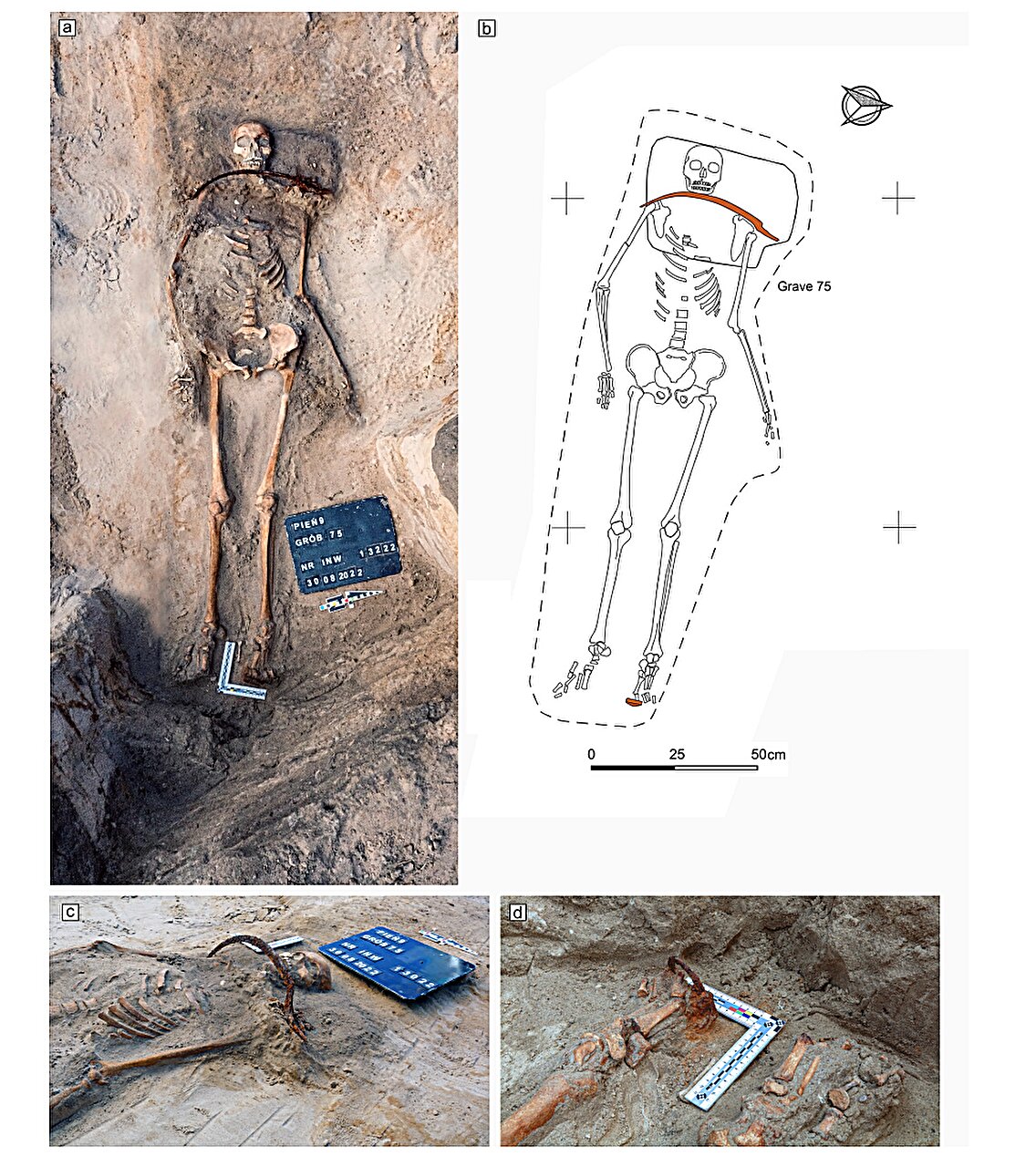 Vampýrský hrob 75. Kredit: Poliński et al. (2026), Journal of Archaeological Science: Reports.