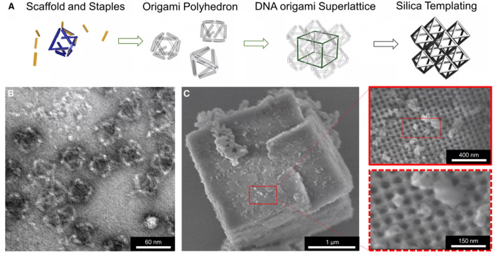 Jak vyrobit DNA nanosklo. Kredit: University of Connecticut.