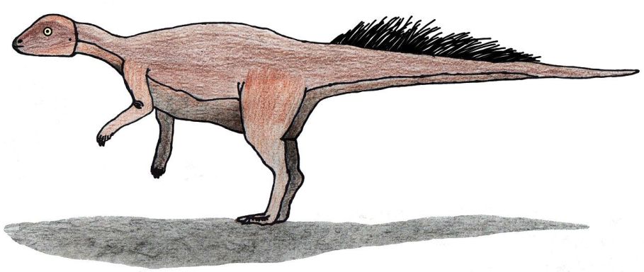 Přibližná představa o možném vzezření druhu Micropachycephalosaurus hongtuyanensis. Tento malinký ptakopánvý dinosaurus nebyl ve skutečnosti zástupcem „tlustolebých“ pachycefalosaurů, ale spíše miniaturním a vývojově primitivním (byť z hlediska geolo