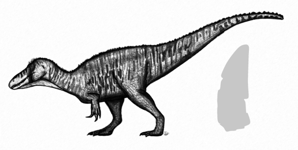 Rekonstrukce pravděpodobného vzezření a silueta fosilního zubu východoafrického spinosauridního teropoda druhu Ostafrikasaurus crassiserratus. Tento málo známý teropod z období pozdní jury představuje zřejmě dosud nejstaršího známého spinosaurida vůb