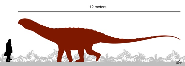 Na poměry sauropodních dinosaurů byl Saltasaurus loricatus poměrně malým druhem. Ačkoliv by v současné přírodě patřil s hmotností několika tun k největším suchozemským zvířatům, oproti svým obřím příbuzným byl spíše trpaslíkem. Například slavný Argen
