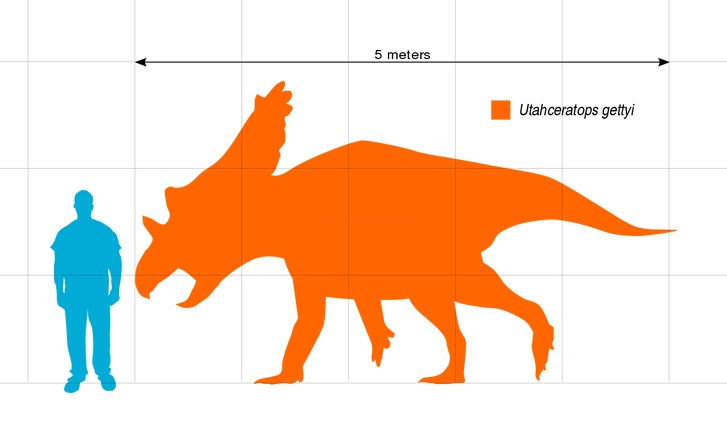 Silueta zobrazující přibližný tvar těla a velikost dospělého jedince utahceratopse v porovnání s člověkem. Lebka tohoto ceratopsida mohla dosahovat délky až 2,4 metru a patřila tedy k nejdelším známým lebkám u suchozemských živočichů vůbec (delšími l