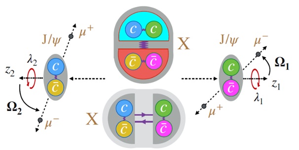 Průběh rozpadu tetrakvarku se liší pro dva různé modely struktury, dvoumezonové nebo čtyřkvarkové (zdroj Nature 648 (2025) 58–63)