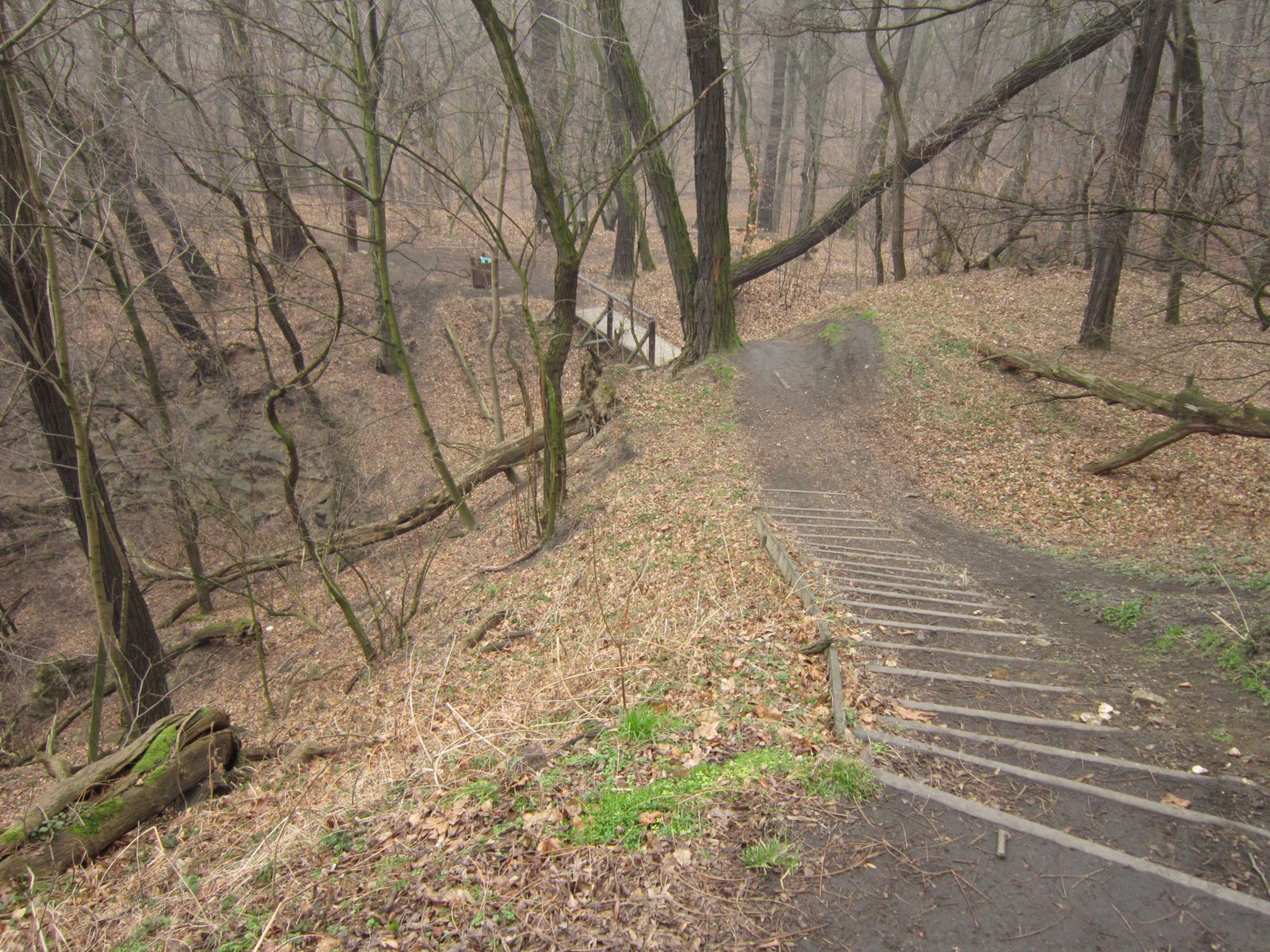 Naučná stezka nedaleko vrcholu kopce. Foto A. Uhlíř, 2014.