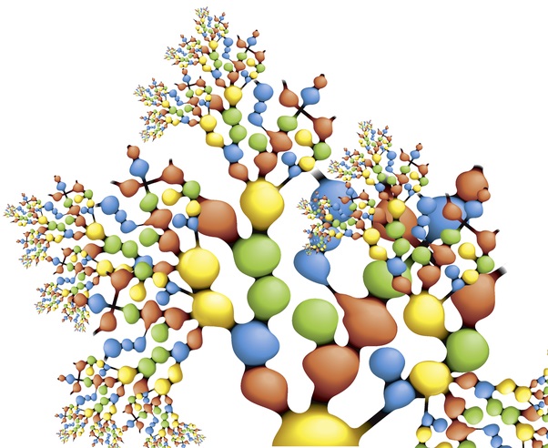 Ztvárnění věčné inflace může připomínat fraktál, či evoluční strom.
Zdroj: https://pages.uoregon.edu/