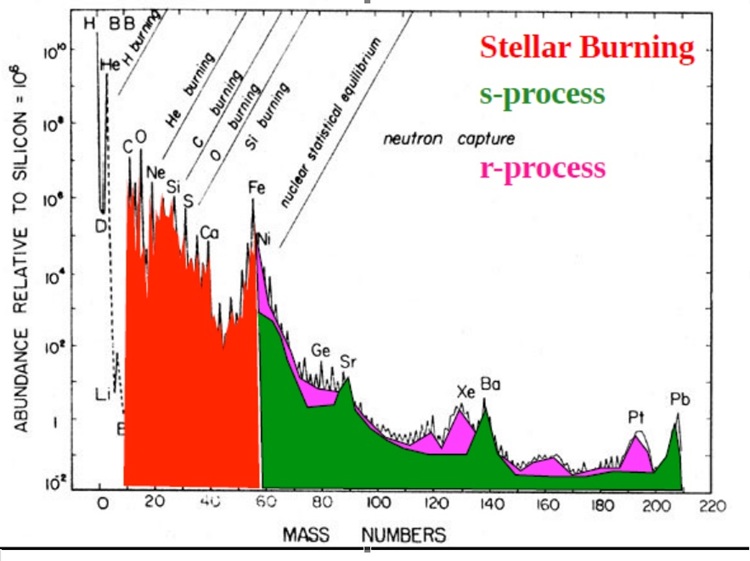 Podíl různých procesů na tvorbě prvků ve hvězdách (zdroj prezentace D. Galaviz EuNPC 2025)