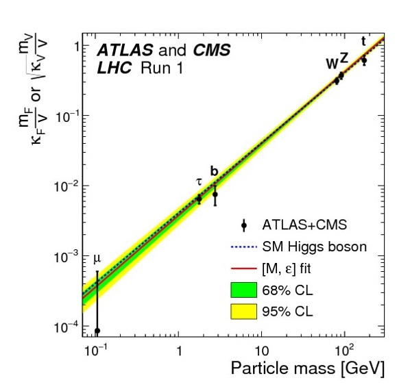 Závislost míchání higgse s různými částicemi na jejich hmotnosti by měla být podle Standardního modelu lineární v log-log měřítku. Experimentální data plně splňují předpověď Standardního modelu.