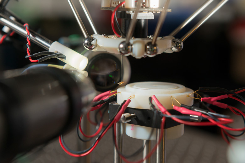 Octomilka visĂ­ bez Ăşhony na konci sacĂ­ trubice robotu. Robot vyuĹľĂ­vĂˇ optiku k analĂ˝ze chycenĂ© muĹˇky. (Kredit: Stanford Univ.)