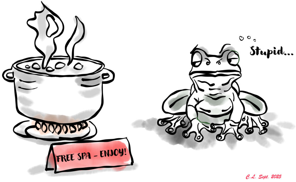 I žáby jsou ve skutečnosti dost chytré na to, aby se nechaly uvařit zaživa. Budeme tak chytří i my? Zdroj: https://thetrustfactory.co/