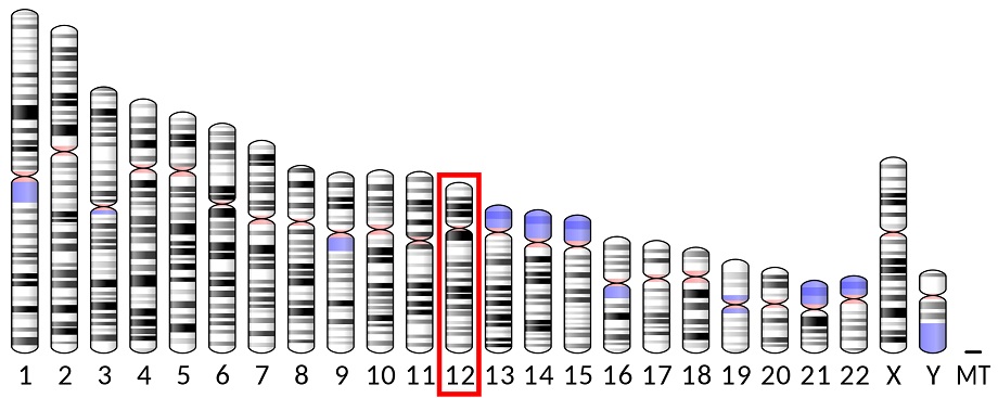 Proteinová kináza C-vázající protein NELL2 je enzym , který u lidí je kódován NELL2 genem. Tento gen kóduje cytoplazmatický protein, který obsahuje repetice podobné epidermálnímu růstovému faktoru (EGF).