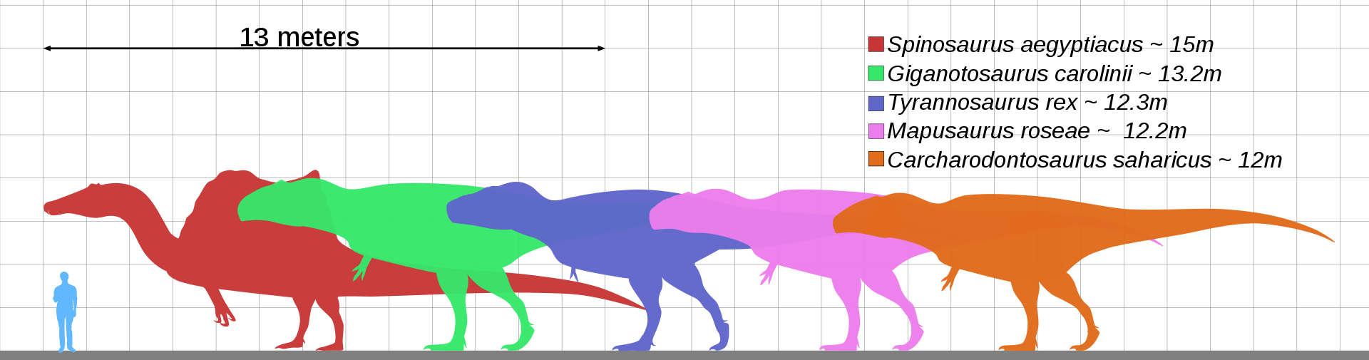 Přehlídka několika obřích teropodů a jejich velikostní porovnání s dospělým člověkem. Oproti výčtu v příspěvku zde chybí jen Deinocheirus mirificus (který ale nespadá do kategorie „super-predátorů“), naopak zde „přebývá“ Mapusaurus roseae, který ale 