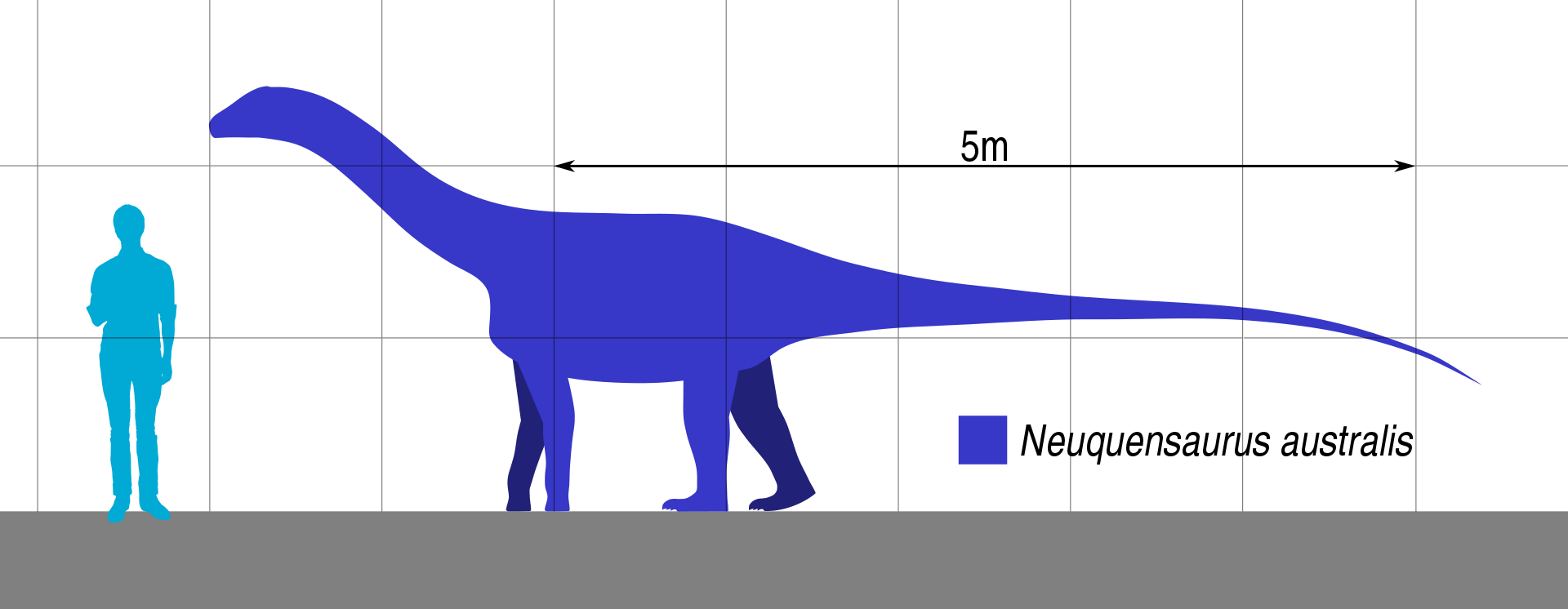 Jedním z možných původců kostřičky embrya je také menší titanosaurní sauropod Neuquensaurus australis, jehož fosilie byly formálně popsány pod rodovým jménem Titanosaurus již roku 1893. Tento patagonský zástupce čeledi Saltasauridae dosahoval v dospě