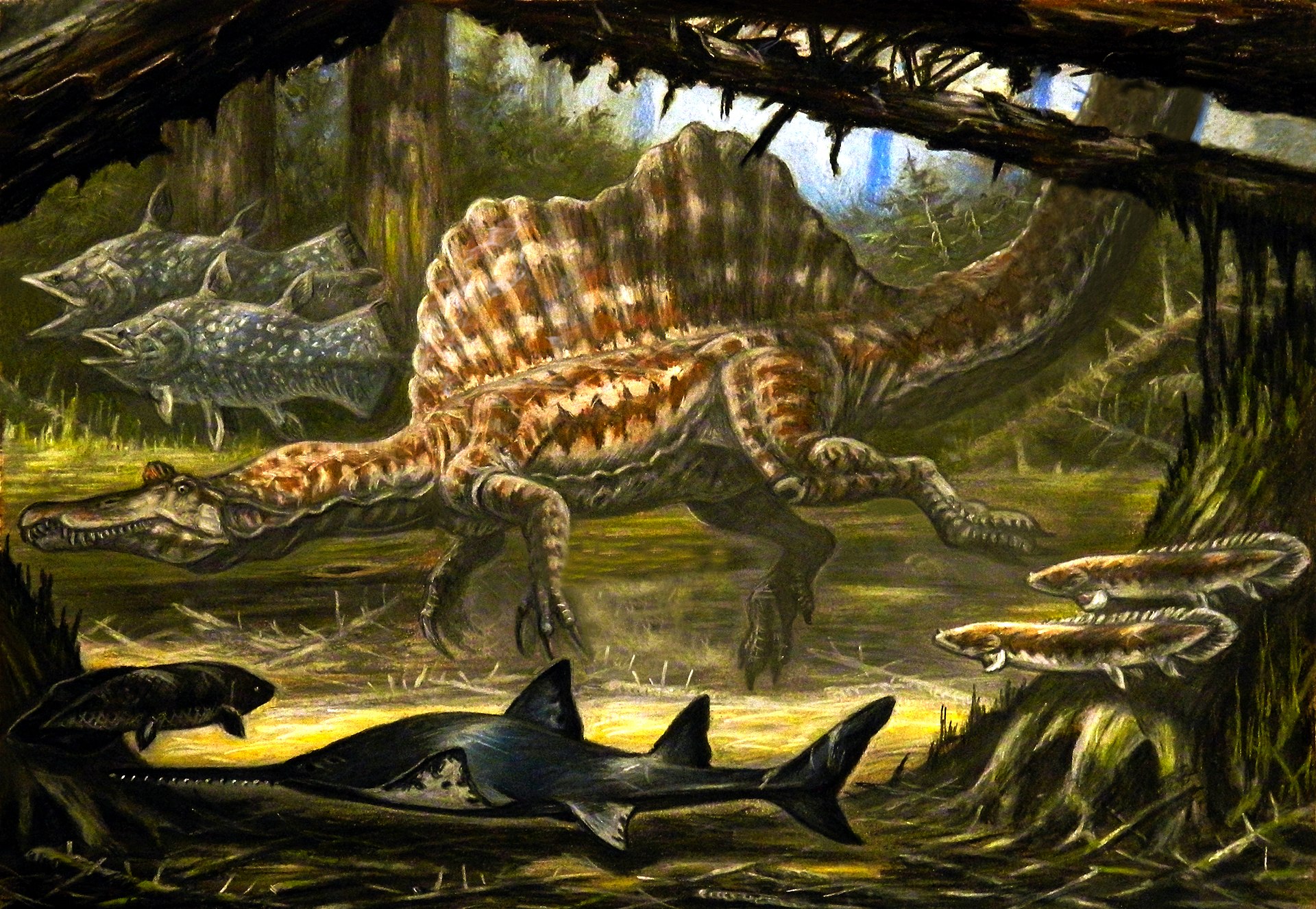Aegisuchové obývali stejné ekosystémy jako obří „obojživelní“ teropodi spinosauři, kteří s délkou 15 až 18 metrů dosahovali stejných nebo i mírně větších rozměrů. Je možné, že si přímo potravně konkurovali, protože jejich primárním zdrojem potravy by