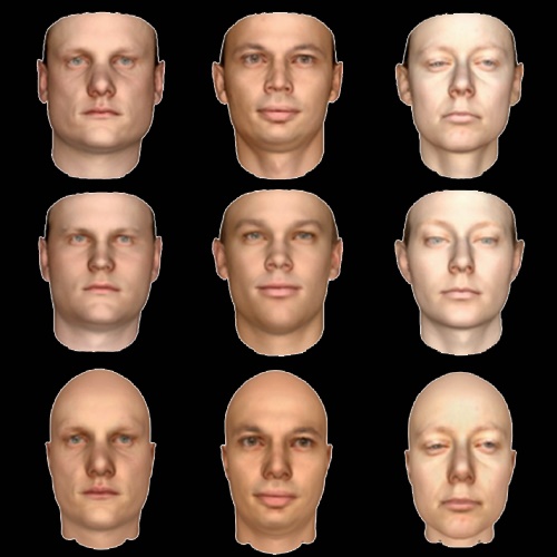 HornĂ­ Ĺ™Ăˇdek ukazuje 2D obrĂˇzky lidskĂ˝ch tvĂˇĹ™Ă­, dolnĂ­ Ĺ™Ăˇdek jejich 3D modely ve starĹˇĂ­m software a prostĹ™ednĂ­ Ĺ™Ăˇdek ukazuje modely vytvoĹ™enĂ© sÂ Picture. Kredit: Kulkarni et al., MIT.