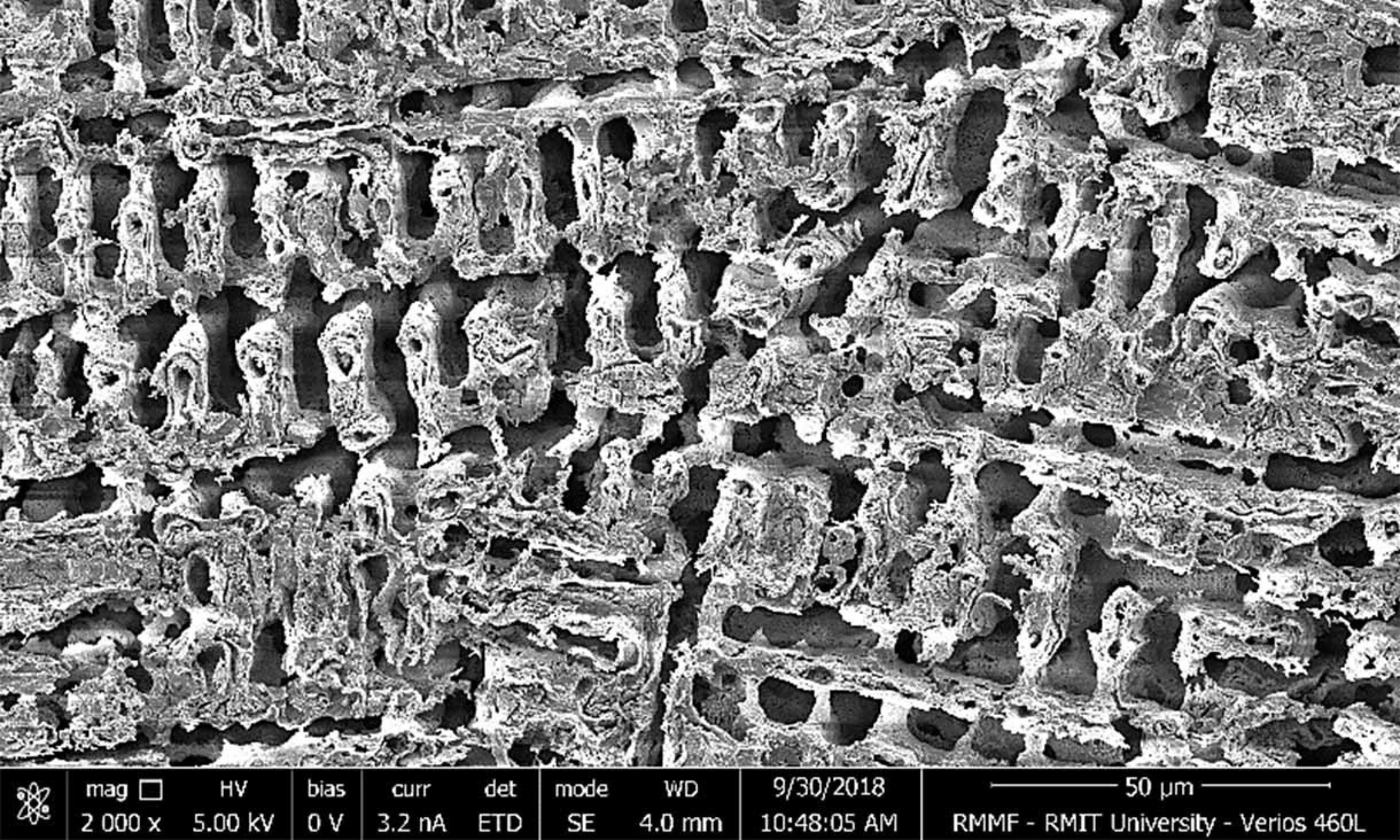 Mikro-nanoměď. Kredit: RMIT.