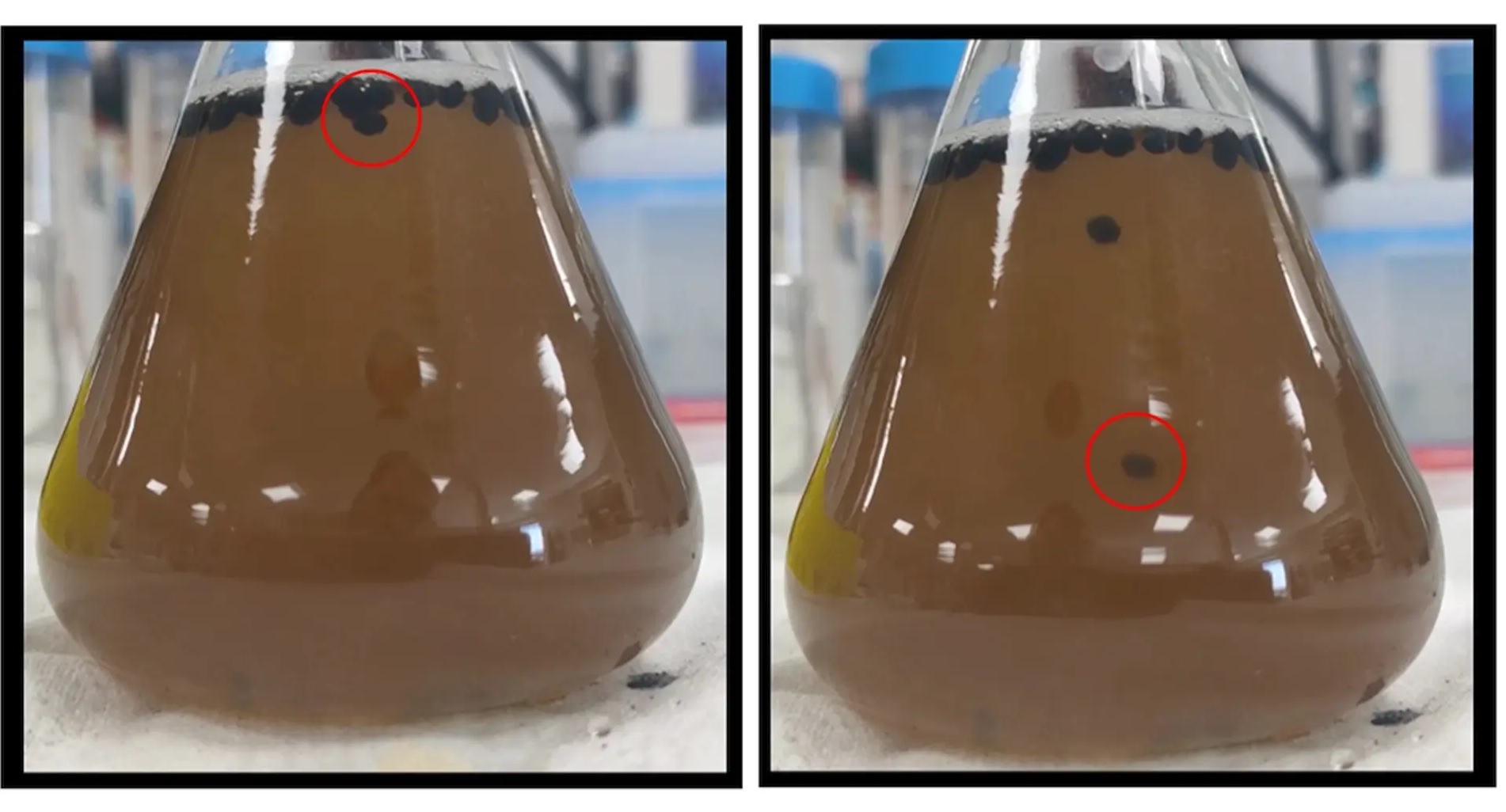 BeerBoti v akci. Kredit: Maria-Hormigos et al. (2023), ACS Nano.