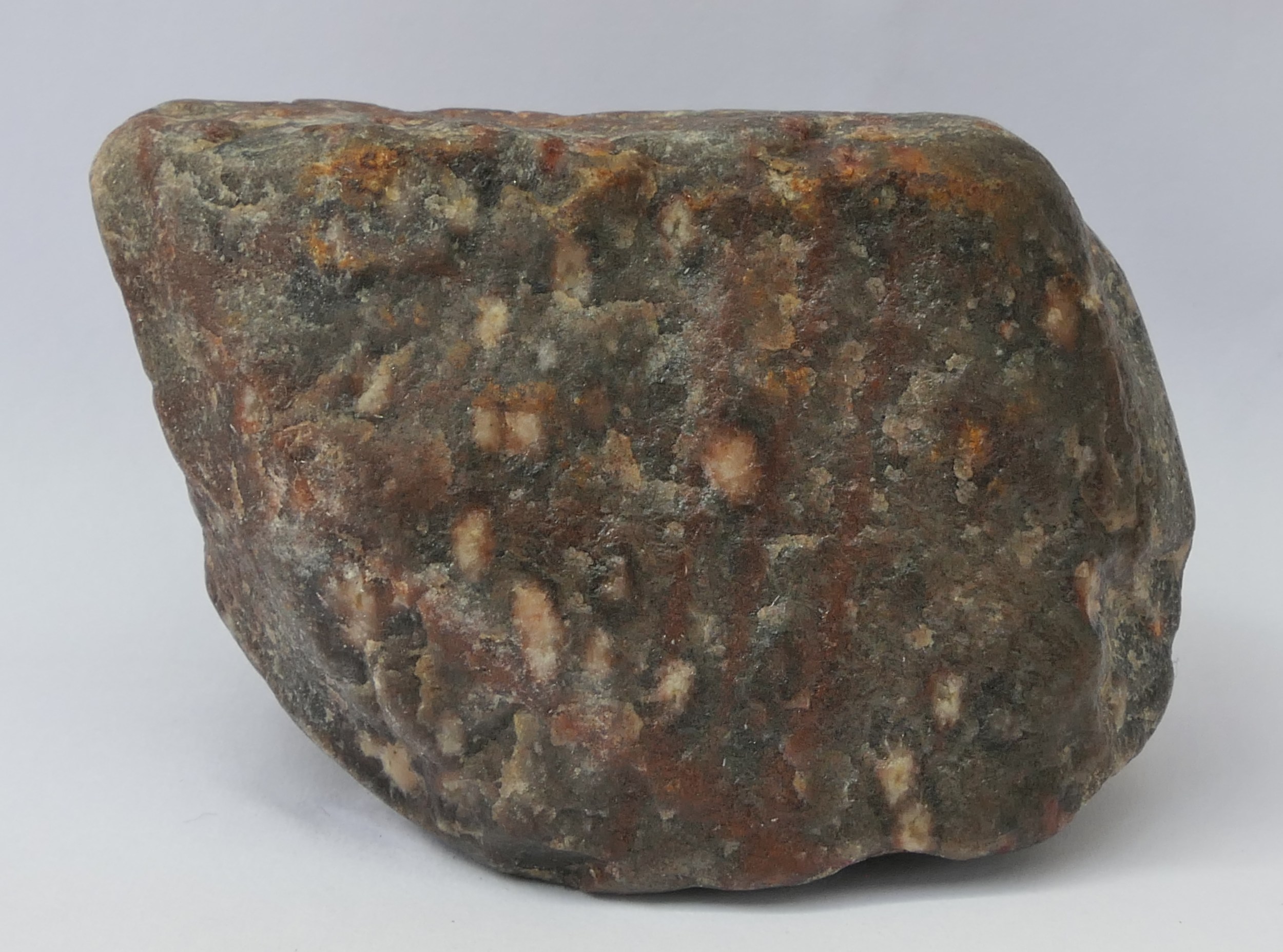Souvek severské horniny stockholmského skvrnitého kvarcitu nalezený u Pochně (5,7 x 3,8 x 5,7 cm). Foto: F. Scholz, 2023.
