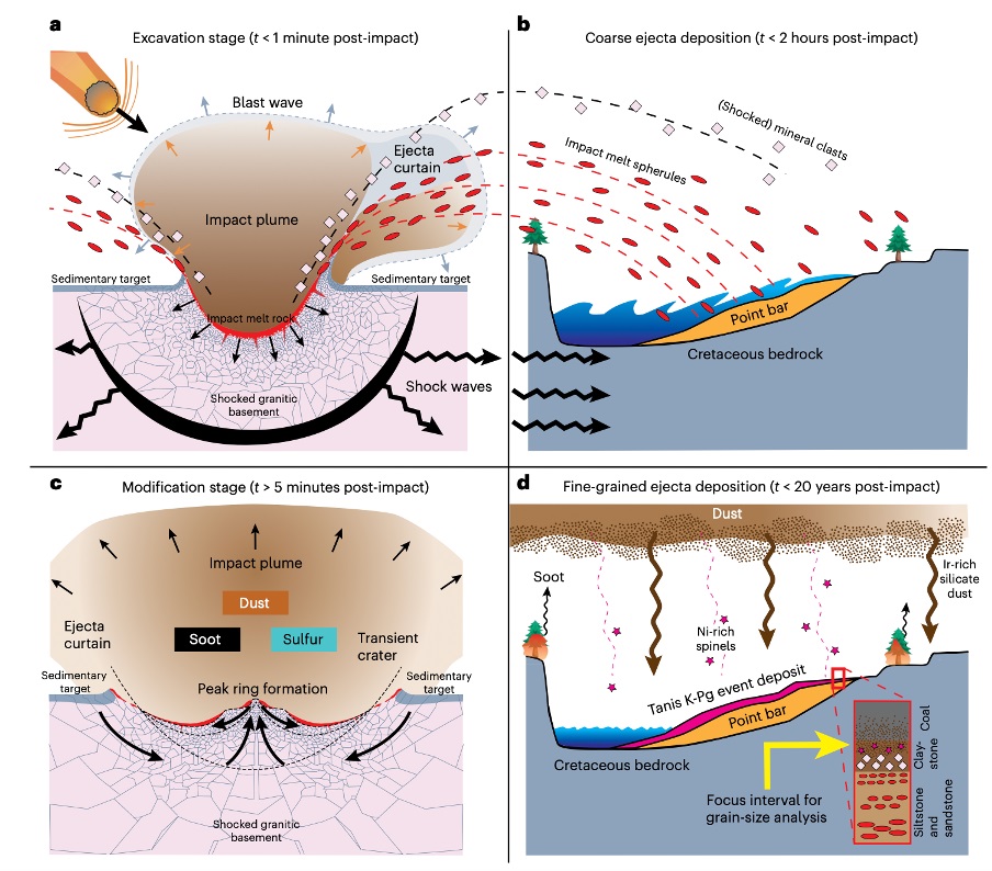 Scénář zkázy na konci křídy. Kredit: Senel et al. (2023), Nature Geoscience.