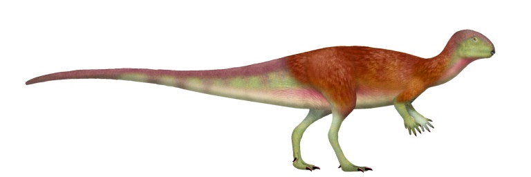 Rekonstrukce přibližného vzezření ptakopánvého dinosaura druhu Minimocursor phunoiensis s hypotetickým pokryvem těla v podobě tzv. protopeří. Tento malý stádní býložravec žil na území současného Thajska v období pozdní jury. Kredit: UnexpectedDinoLes