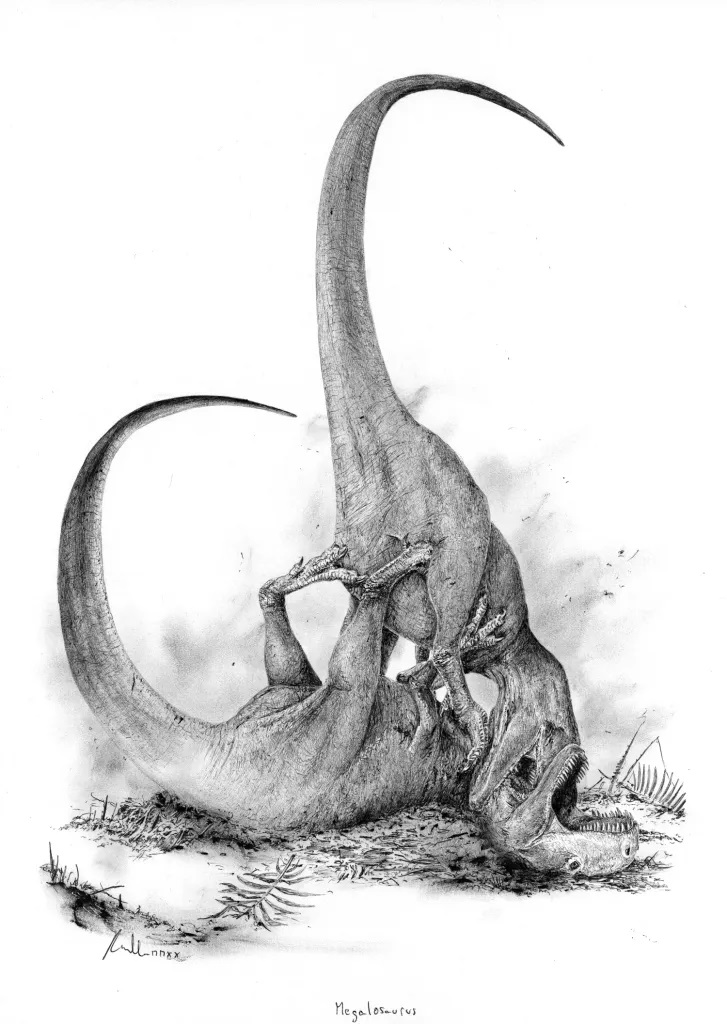 Dvojice bojujících jedinců středně jurského západoevropského teropoda druhu Megalosaurus bucklandii. Právě tento poměrně málo známý dravý dinosaurus střední velikosti se stal v roce 1824 prvním historicky popsaným neptačím dinosaurem. Kredit: Vladimí