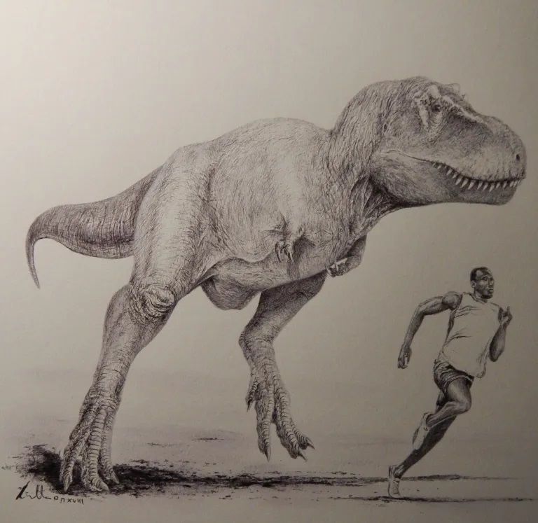 Lehčeji stavění dospělci druhu Tyrannosaurus rex byli podle nové studie schopni dosáhnout rychlosti až kolem 38 km/h, což odpovídá například nejvyšší průměrné (nikoliv maximální) rychlosti běhu jamajského sprintera Usaina Bolta. Kredit: Vladimír Rimb