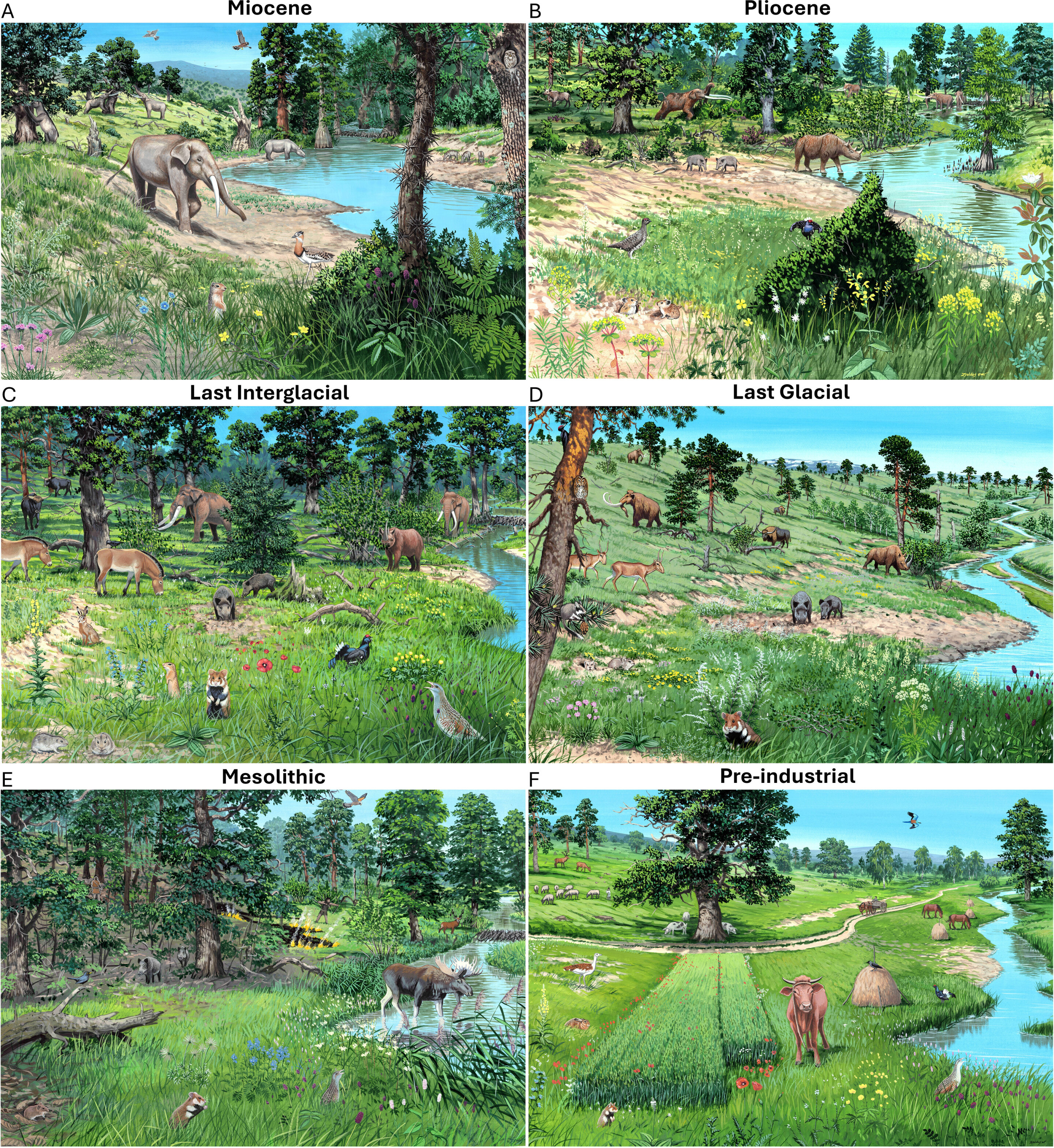 Parky Evropy. Kredit: Márton Zsoldos.