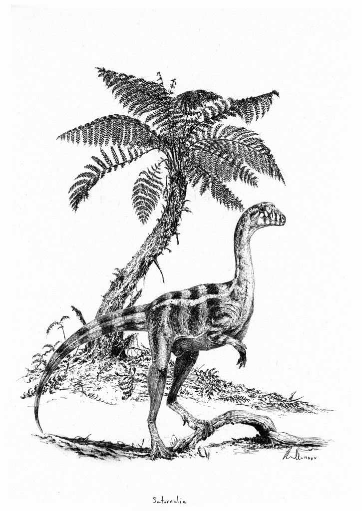 Vývojově primitivní dinosauři, jako byl sauropodomorf druhu Saturnalia tupiniquim, žijící v době před 233 miliony let na území současné Brazílie, ještě zdaleka nepatřili k dominantním formám suchozemských obratlovců. Čas dinosaurů přišel až o víc než