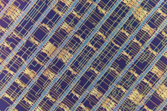 Mikroprocesor z uhlíkových nanotrubiček v detailu. Kredit: Felice Frankel.