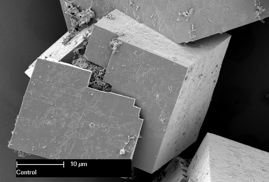Materiál MOF na snímku SEM mikroskopu. Kredit: CSIRO.