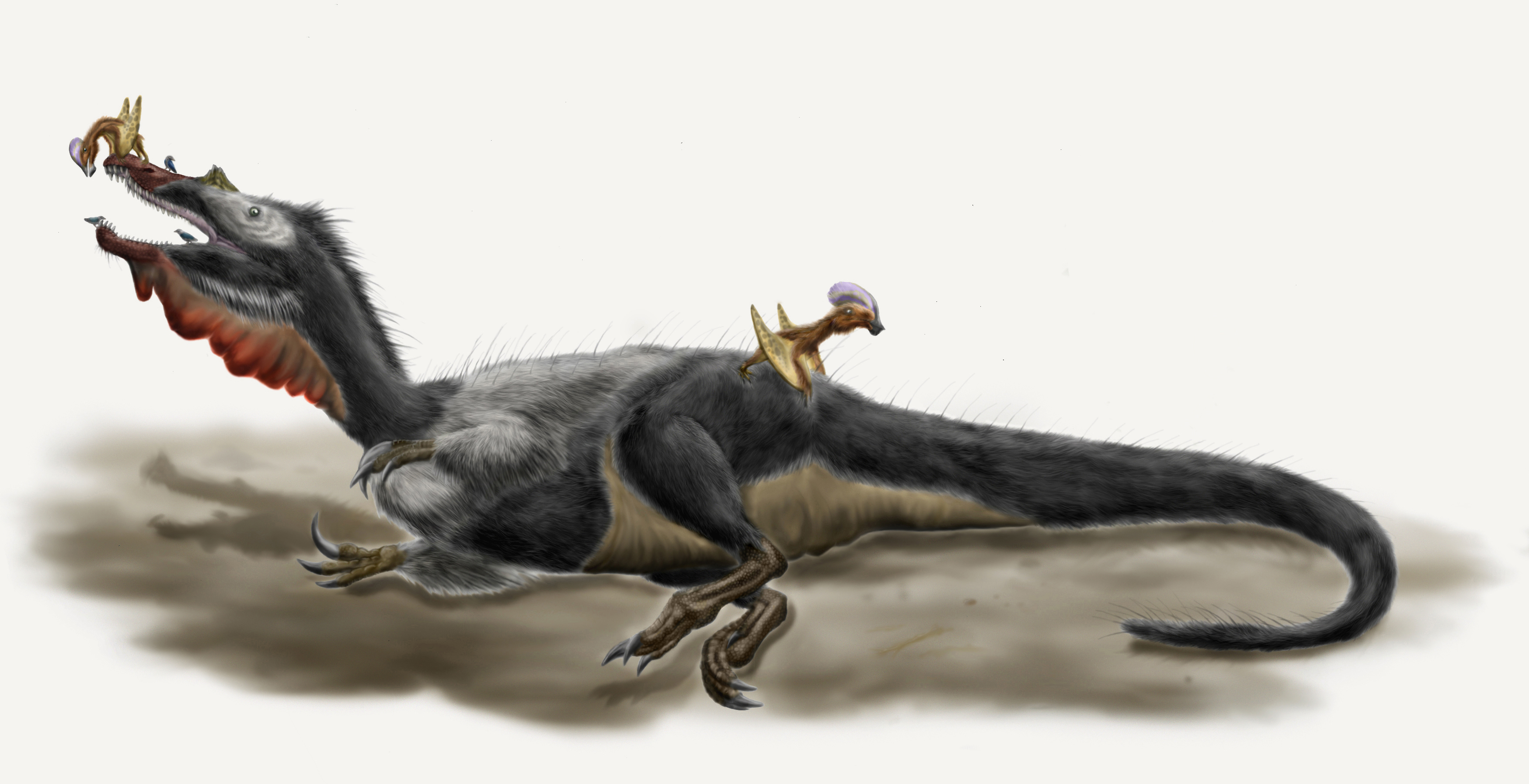 Moderní rekonstrukce druhu Baryonyx walkeri, evropského zástupce čeledi spinosauridů. Přítomnost pernatého pokryvu těla je u tohoto druhu vysoce hypotetická. Tento až 10 metrů dlouhý predátor obýval oblasti dnešní Velké Británie a možná i Portugalska