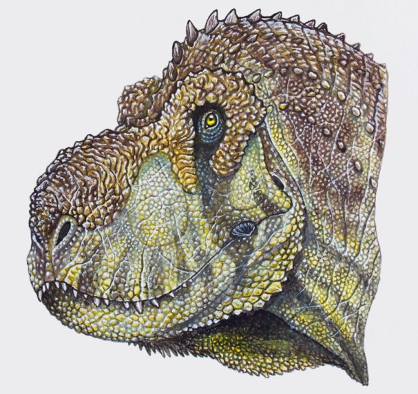 Rekonstrukce možného vzezření hlavy živého pyknonemosaura. Tento obří brazilský teropod žil v době před 70 miliony let a při devítimetrové délce představoval nejspíš dominantního predátora svých ekosystémů. Stejně jako ostatní vývojově vyspělí abelis