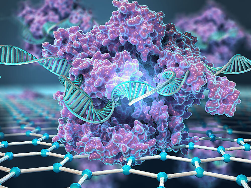 CRISPR na grafenu. Kredit: Keck Graduate Institute (KGI).