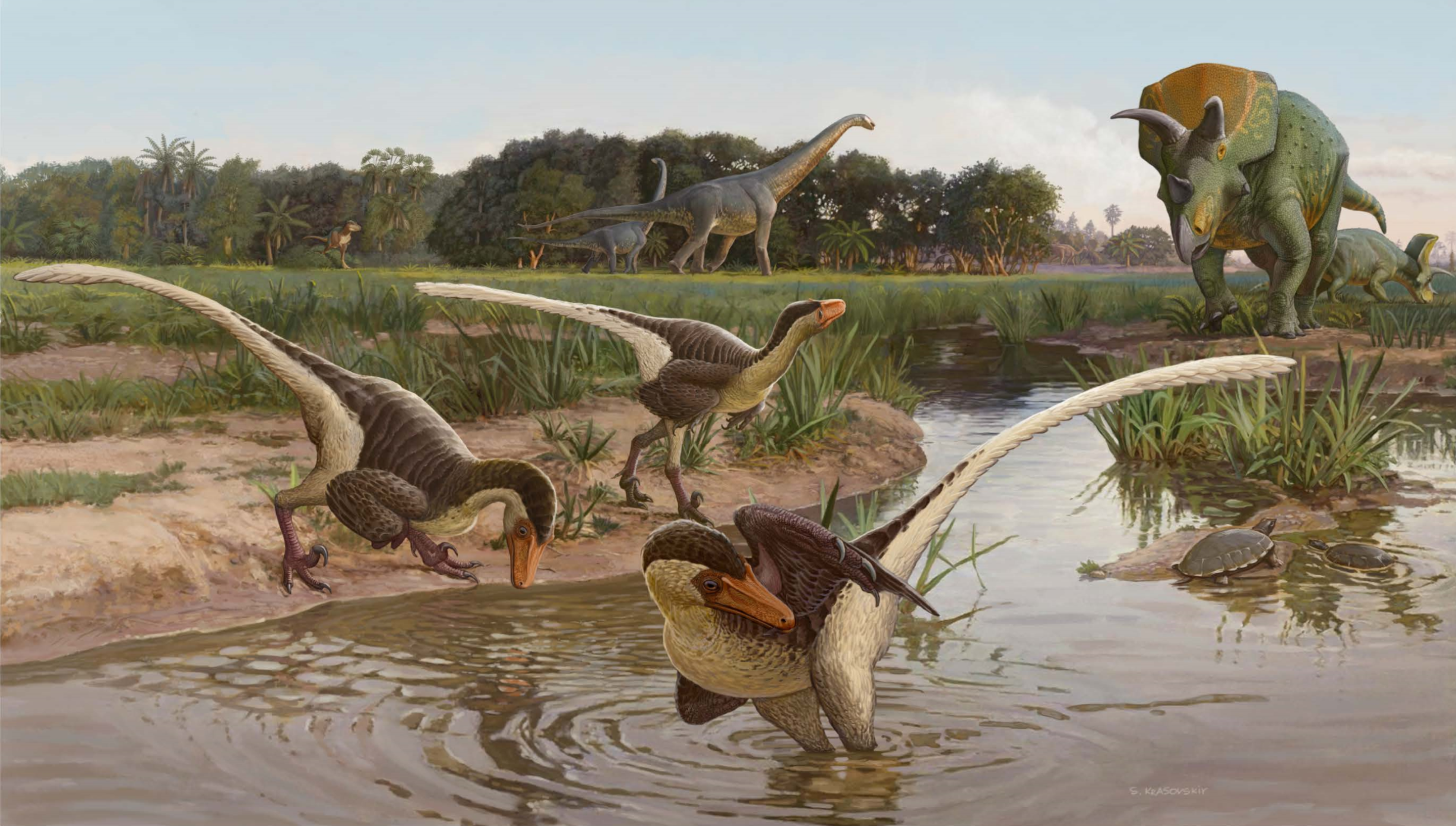 Přibližná podoba ekosystému geologického souvrství Ojo Alamo (zde přibližně před 68 až 67 miliony let). V popředí dromeosaurid Dineobellator notohesperus, vpravo v pozadí ceratopsid Ojoceratops fowleri a zcela vzadu obří titanosaurní sauropod Alamosa