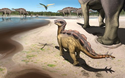 Umělecká představa stáda raně křídových stegosauridů (nejspíše wuerhosaurů) na území současné severozápadní Číny. Roztomile vypadající mládě stegosaura v popředí nepřesahuje délku jednoho metru a váží asi tolik, co menší pes. Podobná scéna se mohla o