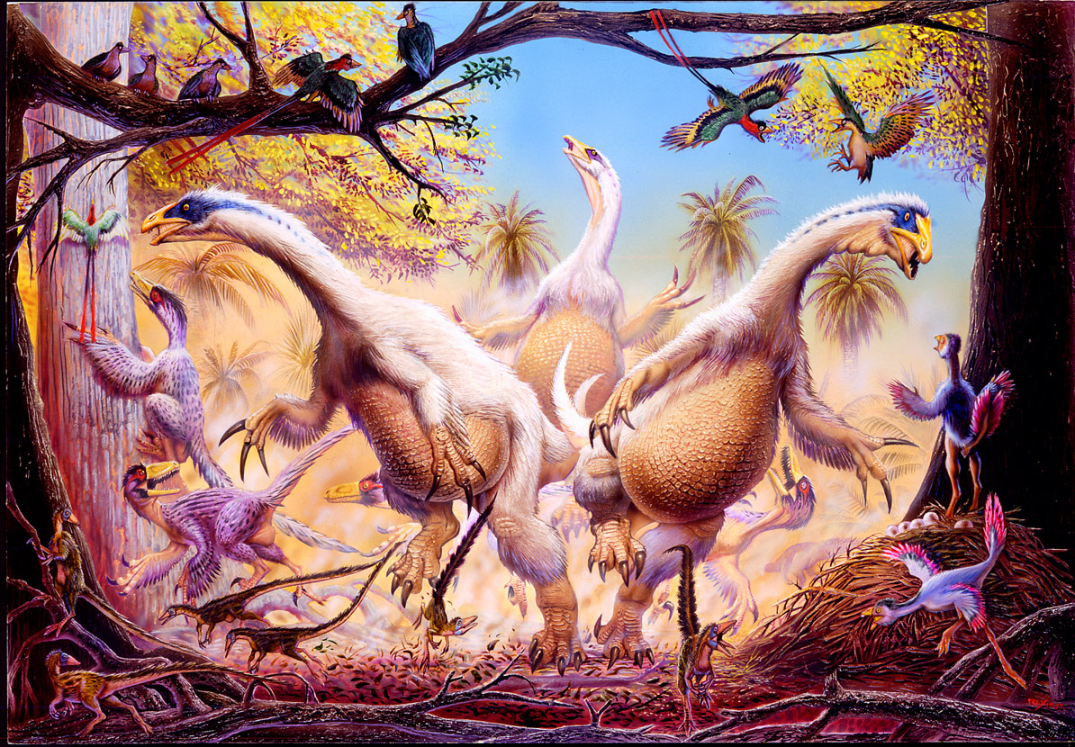 OpeĹ™enĂ˝ ÄŤĂ­nskĂ˝ dĂˇvnovÄ›k s dinosaury rodu Beipiaosaurus, Sinosauropteryx a Caudipteryx a â€žpraptĂˇkemâ€ś rodu Confuciusornis. VĹˇichni tito teropodi vykazovali nÄ›jakĂ˝ stupeĹ? tÄ›lesnĂ©ho opeĹ™enĂ­, od jednoduchĂ©ho vlĂˇknitĂ©ho pokryvu aĹľ p