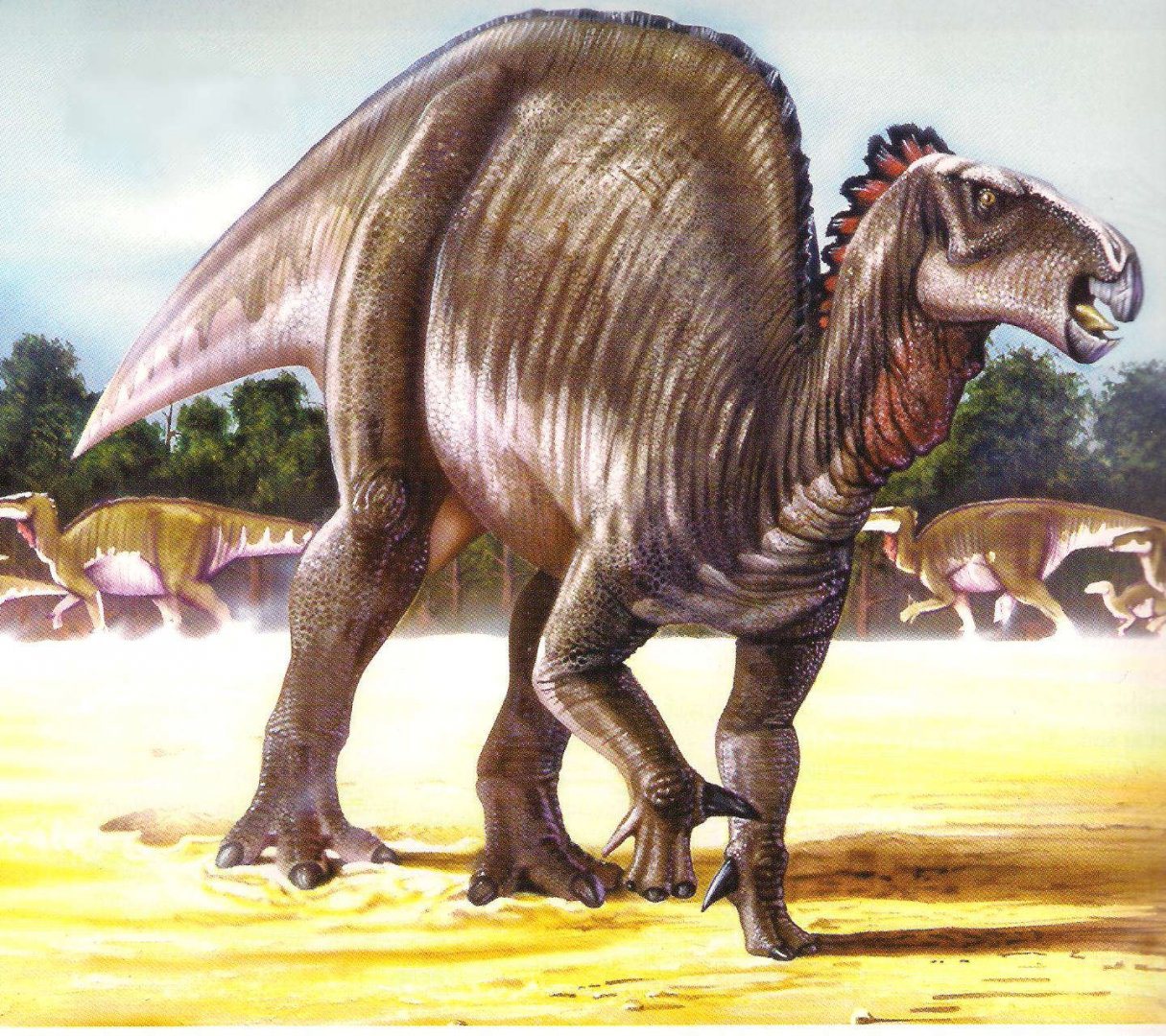 AntonĂ­n FriÄŤ jiĹľ koncem 19. stoletĂ­ vÄ›Ĺ™il, Ĺľe jĂ­m popsanĂ© fragmenty kĹ™Ă­dovĂ˝ch kostĂ­ patĹ™ily dinosaurovi z pĹ™Ă­buzenstva rodu Iguanodon (na obrĂˇzku). SouÄŤasnĂ˝ vĂ˝zkum mu dĂˇvĂˇ zapravdu, i kdyĹľ o totoĹľnosti moĹľnĂ˝ch dinosaurĹŻ od 
